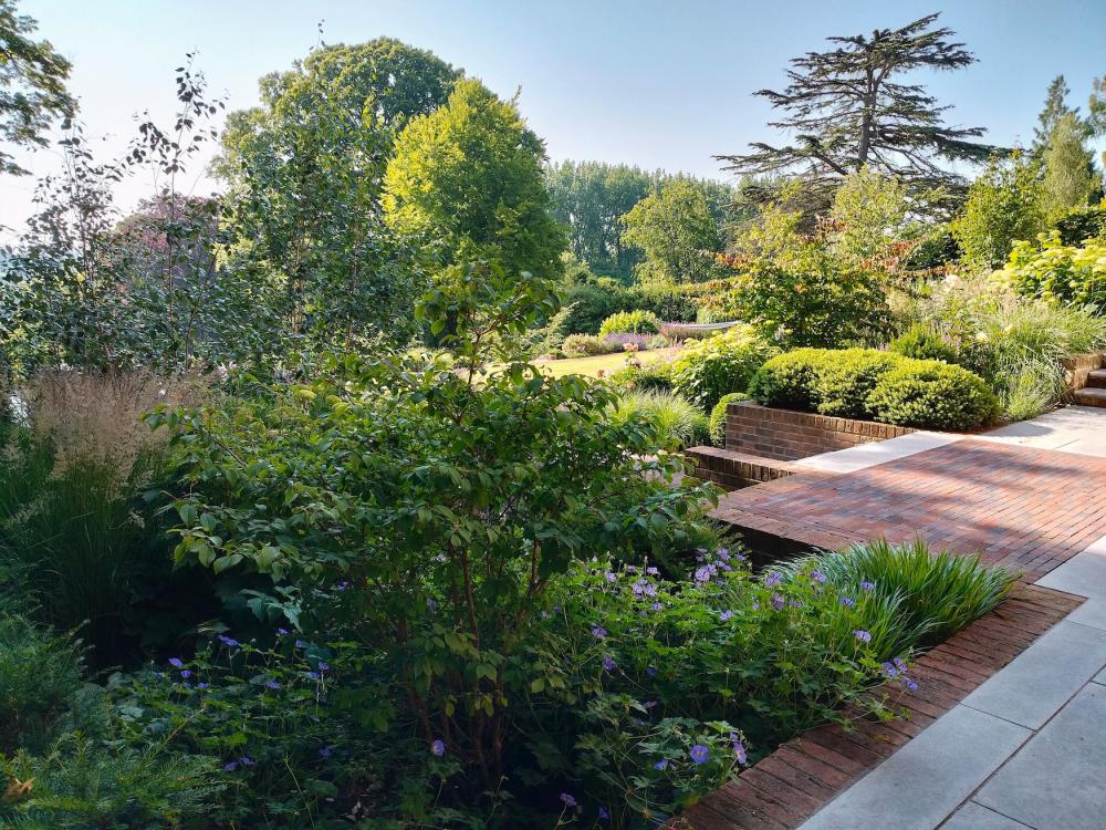 Family garden (Hampshire) | Amy Perkins Garden Design, Hampshire