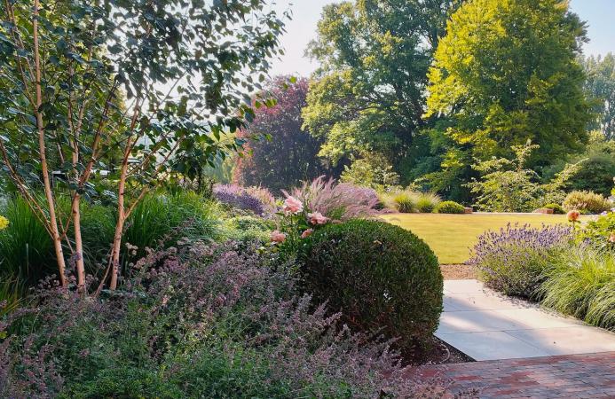 Family garden, Hampshire