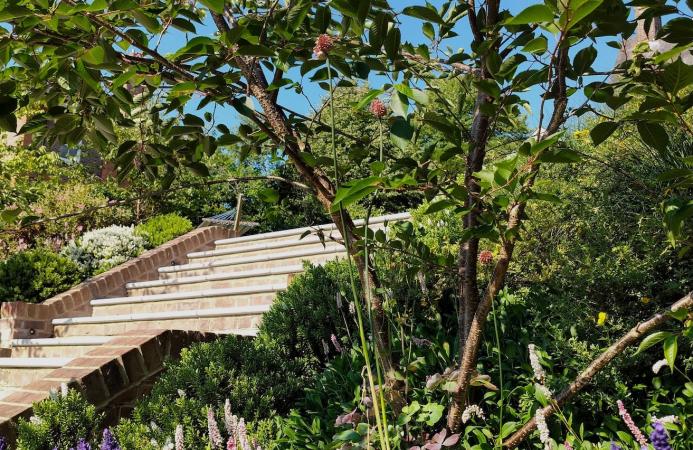 Family garden, Hampshire