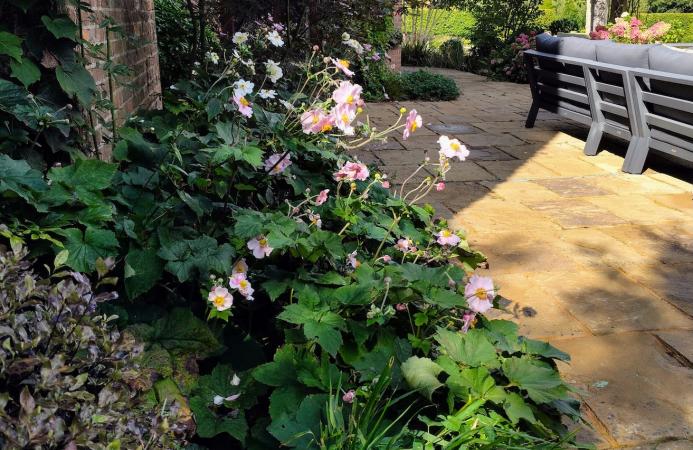 Country garden (New Forest) 