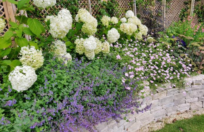 Village Garden (Hampshire)