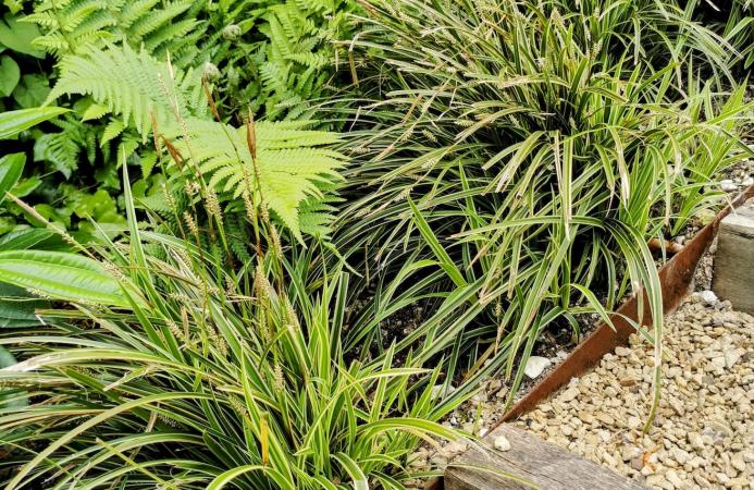 Family garden, Hampshire
