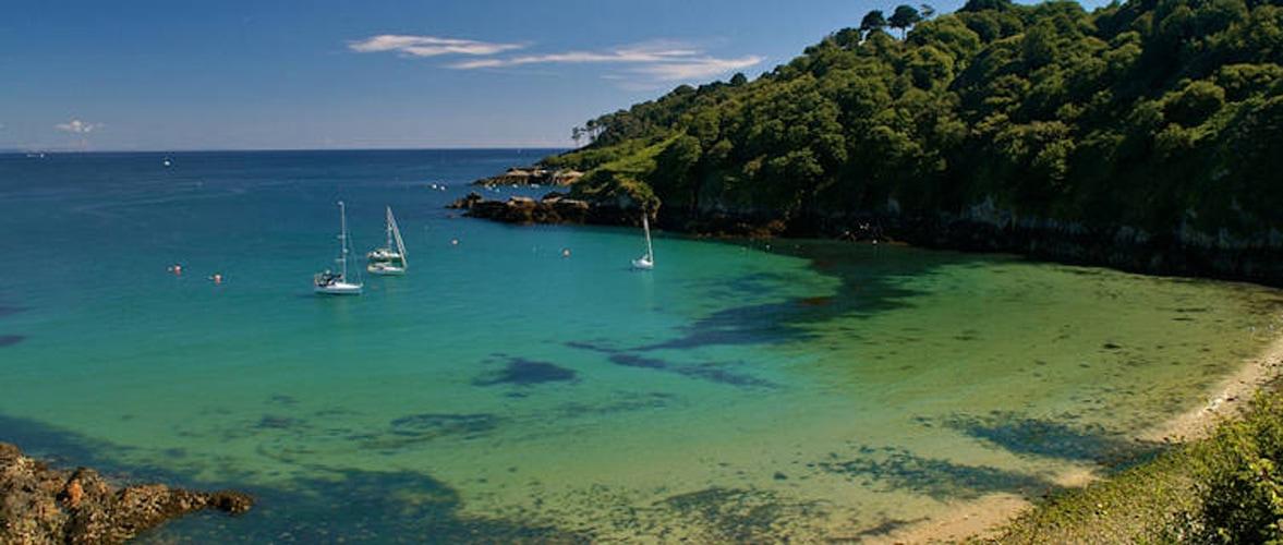 Channel Island Garden Designs (Jersey and Guernsey) Amy Perkins