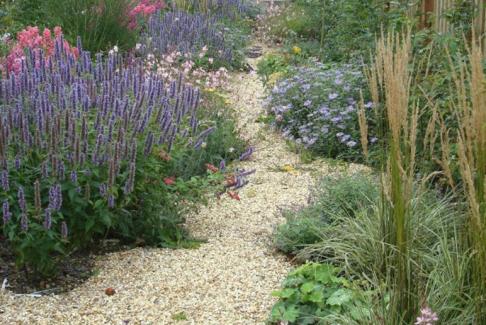 Gravel Garden Design (Hampshire)
