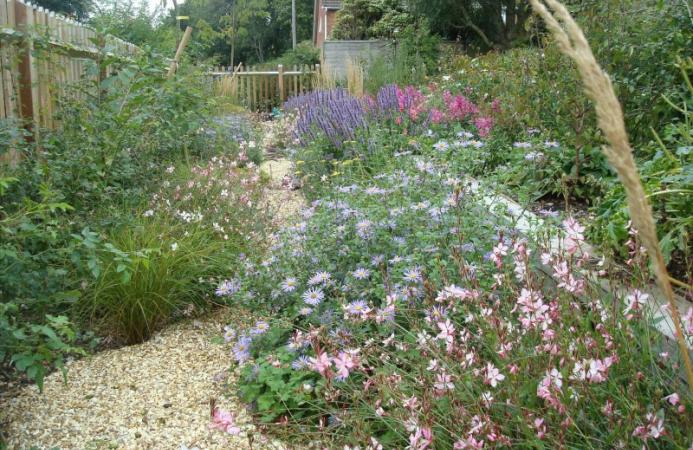 Gravel Path Garden Design (Hampshire)